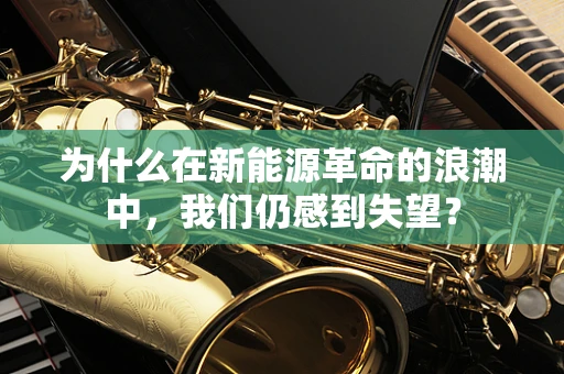 为什么在新能源革命的浪潮中，我们仍感到失望？