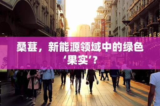 桑葚，新能源领域中的绿色‘果实’？