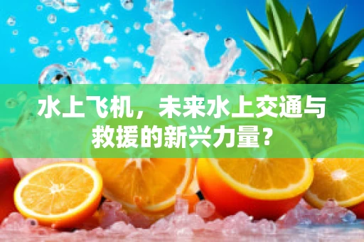 水上飞机，未来水上交通与救援的新兴力量？