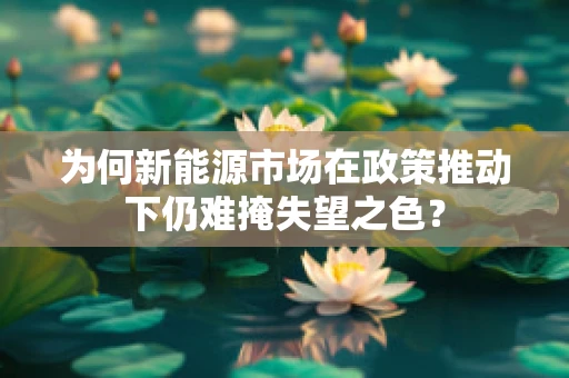 为何新能源市场在政策推动下仍难掩失望之色？
