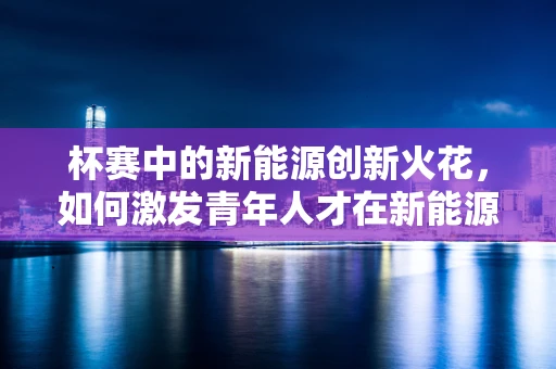 杯赛中的新能源创新火花，如何激发青年人才在新能源领域的创新思维？