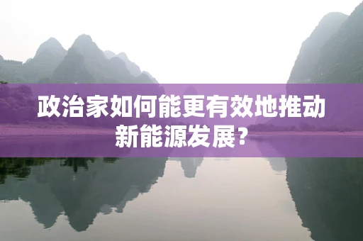 政治家如何能更有效地推动新能源发展？