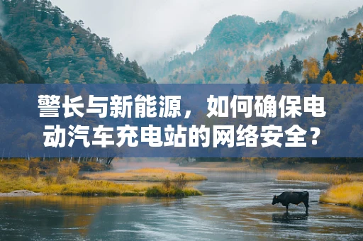 警长与新能源，如何确保电动汽车充电站的网络安全？