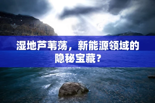湿地芦苇荡，新能源领域的隐秘宝藏？