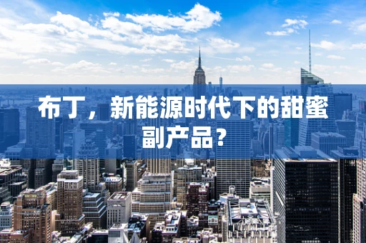 布丁，新能源时代下的甜蜜副产品？