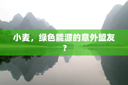 小麦，绿色能源的意外盟友？