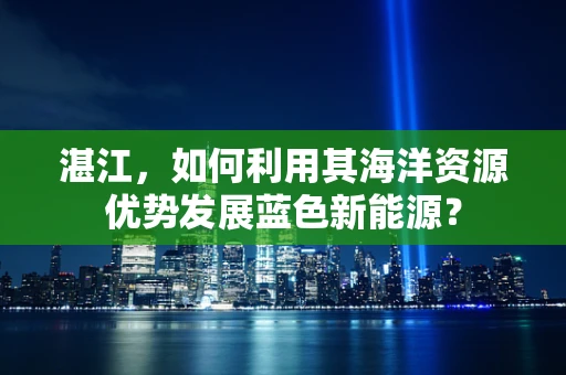 湛江，如何利用其海洋资源优势发展蓝色新能源？