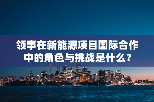 领事在新能源项目国际合作中的角色与挑战是什么？
