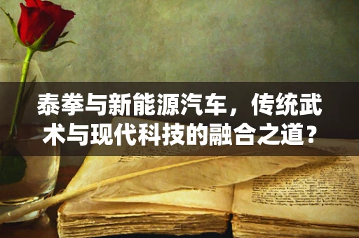 泰拳与新能源汽车，传统武术与现代科技的融合之道？