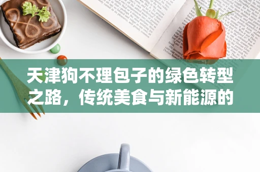 天津狗不理包子的绿色转型之路，传统美食与新能源的碰撞？