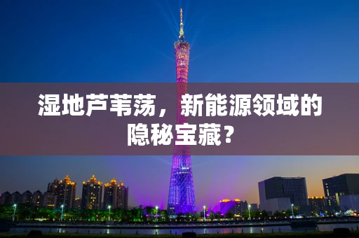 湿地芦苇荡，新能源领域的隐秘宝藏？