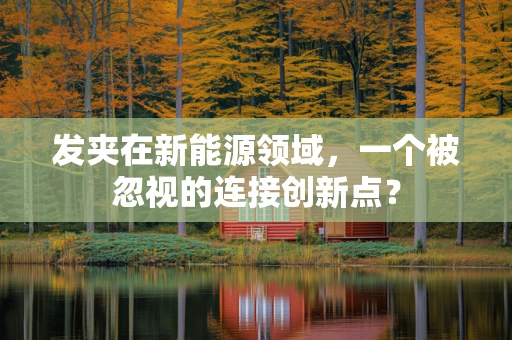 发夹在新能源领域，一个被忽视的连接创新点？