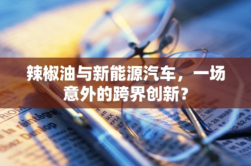 辣椒油与新能源汽车，一场意外的跨界创新？