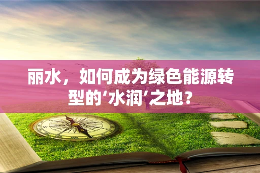 丽水，如何成为绿色能源转型的‘水润’之地？