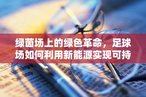 绿茵场上的绿色革命，足球场如何利用新能源实现可持续发展？