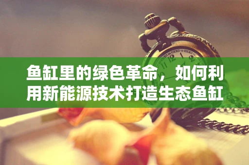 鱼缸里的绿色革命，如何利用新能源技术打造生态鱼缸？