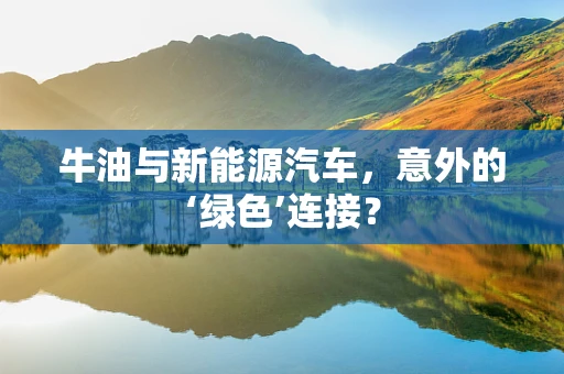 牛油与新能源汽车，意外的‘绿色’连接？