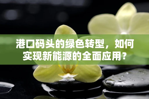 港口码头的绿色转型，如何实现新能源的全面应用？