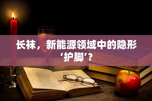 长袜，新能源领域中的隐形‘护脚’？