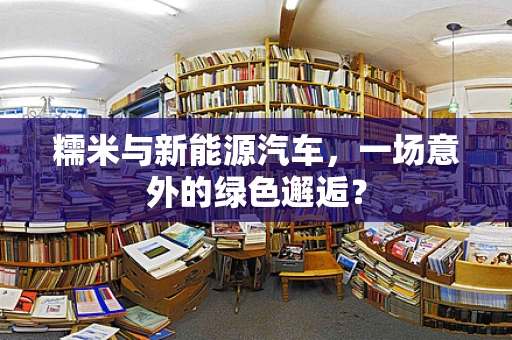糯米与新能源汽车，一场意外的绿色邂逅？