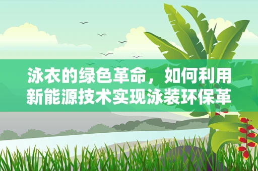 泳衣的绿色革命，如何利用新能源技术实现泳装环保革新？