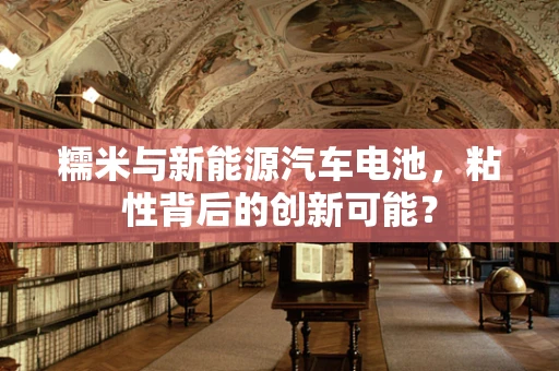 糯米与新能源汽车电池，粘性背后的创新可能？