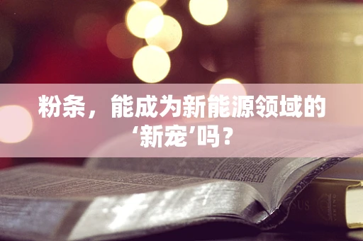 粉条，能成为新能源领域的‘新宠’吗？