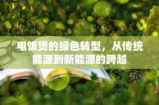 电饭煲的绿色转型，从传统能源到新能源的跨越