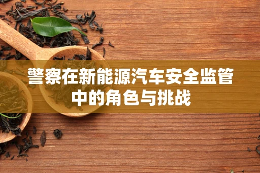 警察在新能源汽车安全监管中的角色与挑战