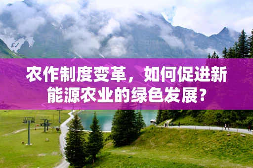 农作制度变革，如何促进新能源农业的绿色发展？