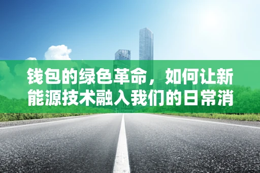 钱包的绿色革命，如何让新能源技术融入我们的日常消费？