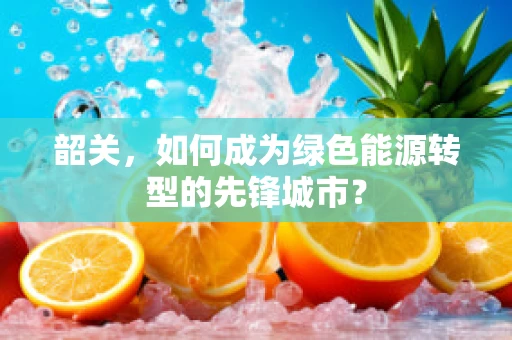 韶关，如何成为绿色能源转型的先锋城市？