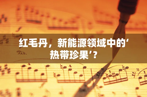 红毛丹，新能源领域中的‘热带珍果’？