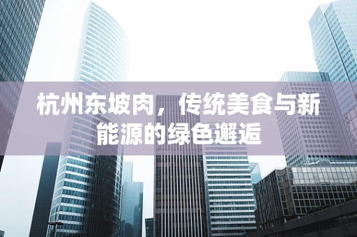 杭州东坡肉，传统美食与新能源的绿色邂逅
