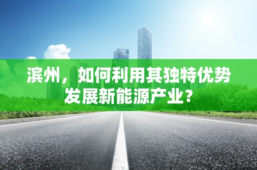 滨州，如何利用其独特优势发展新能源产业？