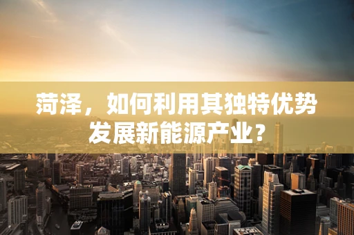 菏泽，如何利用其独特优势发展新能源产业？