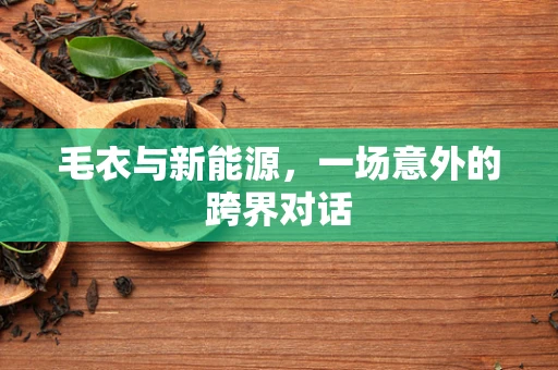 毛衣与新能源，一场意外的跨界对话