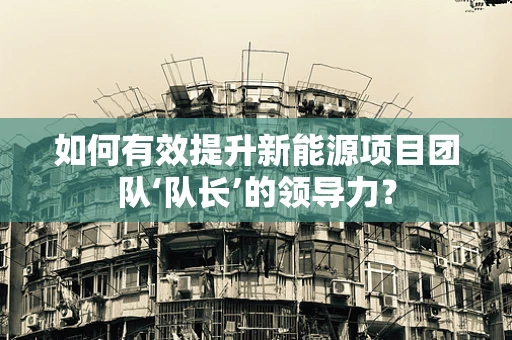 如何有效提升新能源项目团队‘队长’的领导力？