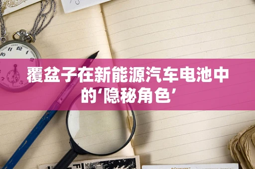 覆盆子在新能源汽车电池中的‘隐秘角色’