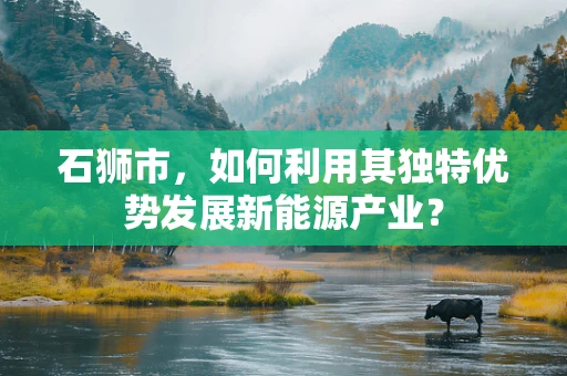 石狮市，如何利用其独特优势发展新能源产业？