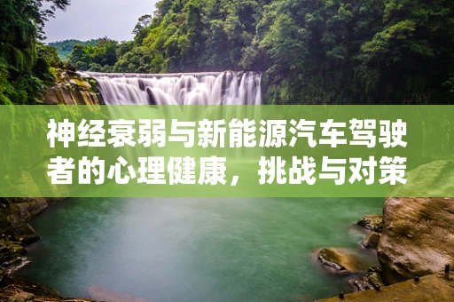 神经衰弱与新能源汽车驾驶者的心理健康，挑战与对策
