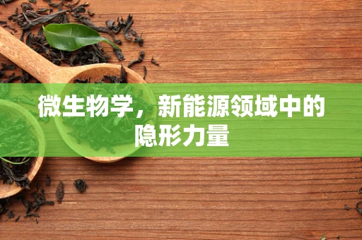 微生物学，新能源领域中的隐形力量