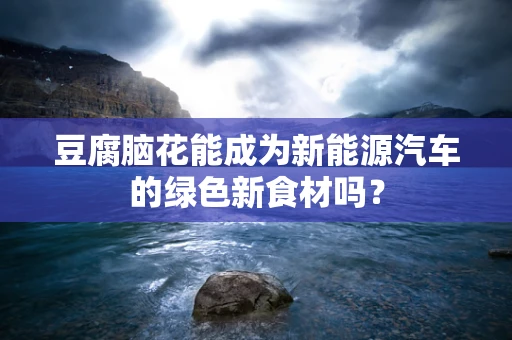豆腐脑花能成为新能源汽车的绿色新食材吗？