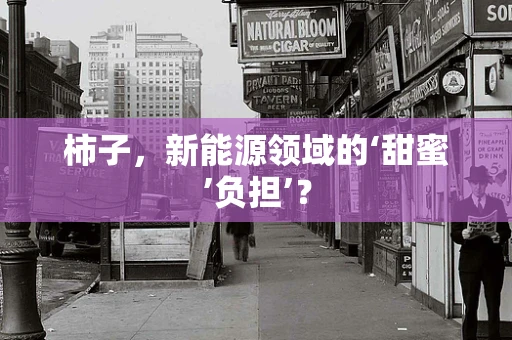 柿子，新能源领域的‘甜蜜’负担’？
