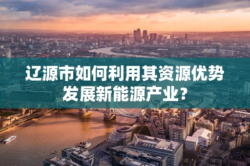 辽源市如何利用其资源优势发展新能源产业？