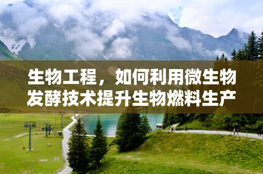 生物工程，如何利用微生物发酵技术提升生物燃料生产效率？
