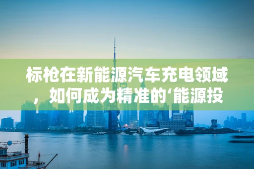 标枪在新能源汽车充电领域，如何成为精准的‘能源投射’工具？