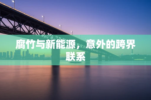 腐竹与新能源，意外的跨界联系