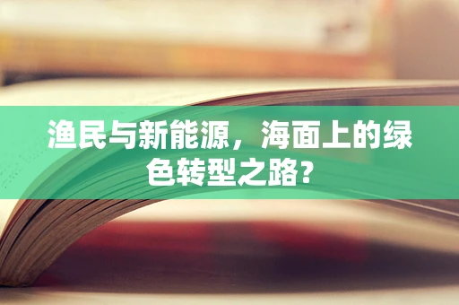 渔民与新能源，海面上的绿色转型之路？