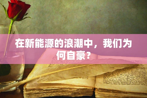 在新能源的浪潮中，我们为何自豪？
